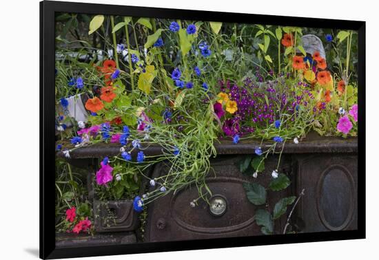 USA, Alaska, Wiseman. Flowers planted in vintage cook stove.-Jaynes Gallery-Framed Photographic Print