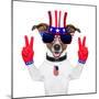 Usa American Dog-Javier Brosch-Mounted Premium Photographic Print