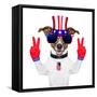 Usa American Dog-Javier Brosch-Framed Stretched Canvas