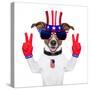 Usa American Dog-Javier Brosch-Stretched Canvas