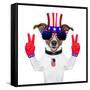 Usa American Dog-Javier Brosch-Framed Stretched Canvas