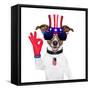 Usa American Dog-Javier Brosch-Framed Stretched Canvas
