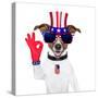 Usa American Dog-Javier Brosch-Stretched Canvas