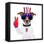 Usa American Dog-Javier Brosch-Framed Stretched Canvas