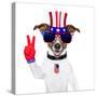 Usa American Dog-Javier Brosch-Stretched Canvas