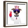 Usa American Dog-Javier Brosch-Framed Photographic Print