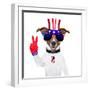 Usa American Dog-Javier Brosch-Framed Photographic Print