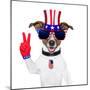 Usa American Dog-Javier Brosch-Mounted Photographic Print