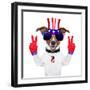 Usa American Dog-Javier Brosch-Framed Photographic Print