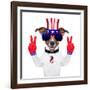 Usa American Dog-Javier Brosch-Framed Photographic Print