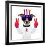 Usa American Dog-Javier Brosch-Framed Photographic Print