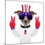 Usa American Dog-Javier Brosch-Mounted Photographic Print