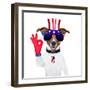 Usa American Dog-Javier Brosch-Framed Photographic Print