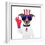 Usa American Dog-Javier Brosch-Framed Photographic Print