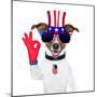 Usa American Dog-Javier Brosch-Mounted Photographic Print