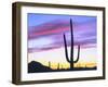 USA, Arizona, a Saguaro Cactus at Dusk-Jaynes Gallery-Framed Premium Photographic Print