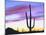 USA, Arizona, a Saguaro Cactus at Dusk-Jaynes Gallery-Mounted Premium Photographic Print