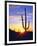 USA, Arizona, a Saguaro Cactus at Sunset-Jaynes Gallery-Framed Photographic Print