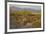 USA, Arizona, Alamo Lake State Park. Wild burros in the desert-Kevin Oke-Framed Premium Photographic Print