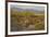 USA, Arizona, Alamo Lake State Park. Wild burros in the desert-Kevin Oke-Framed Photographic Print