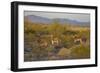 USA, Arizona, Alamo Lake State Park. Wild burros in the desert-Kevin Oke-Framed Photographic Print