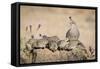 USA, Arizona, Amado. Female Gambel's Quail with Chicks-Wendy Kaveney-Framed Stretched Canvas