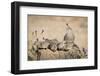 USA, Arizona, Amado. Female Gambel's Quail with Chicks-Wendy Kaveney-Framed Photographic Print