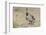 USA, Arizona, Amado. Male Gambel's Quail with Chick-Wendy Kaveney-Framed Photographic Print