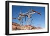 USA, Arizona and Nevada, Hoover Dam, Power Poles-Catharina Lux-Framed Photographic Print