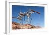 USA, Arizona and Nevada, Hoover Dam, Power Poles-Catharina Lux-Framed Photographic Print