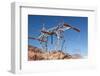 USA, Arizona and Nevada, Hoover Dam, Power Poles-Catharina Lux-Framed Photographic Print