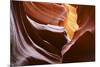 USA, Arizona, Antelope Canyon Antelope Arcade-John Ford-Mounted Photographic Print
