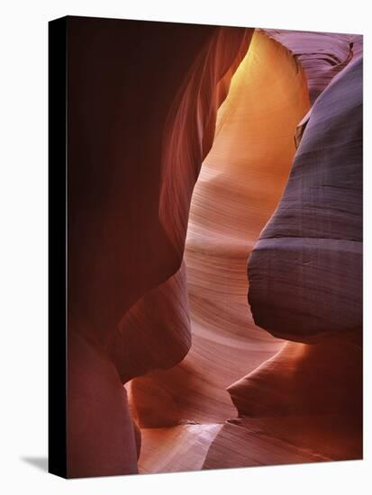 USA, Arizona, Antelope Canyon Antelope Hallway-John Ford-Stretched Canvas