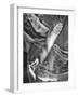 USA, Arizona, Antelope Canyon, Antelope Window-John Ford-Framed Photographic Print