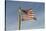 USA, Arizona. Apache Junction, Betsy Ross US flag, Apacheland Movie Ranch-Kevin Oke-Stretched Canvas