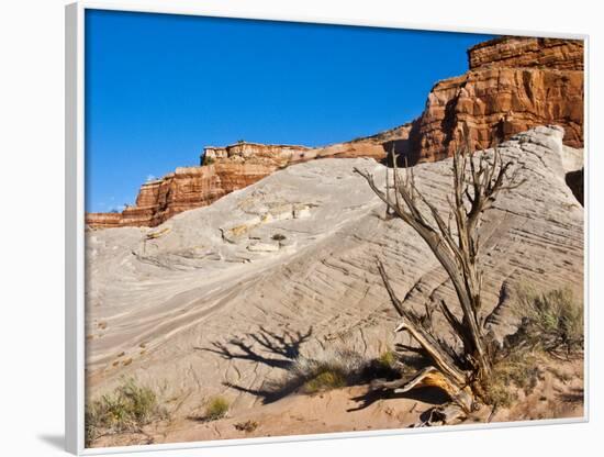 USA, Arizona, Big Water, Vermillion Cliffs Wilderness, Whitehouse Trailhead-Bernard Friel-Framed Photographic Print