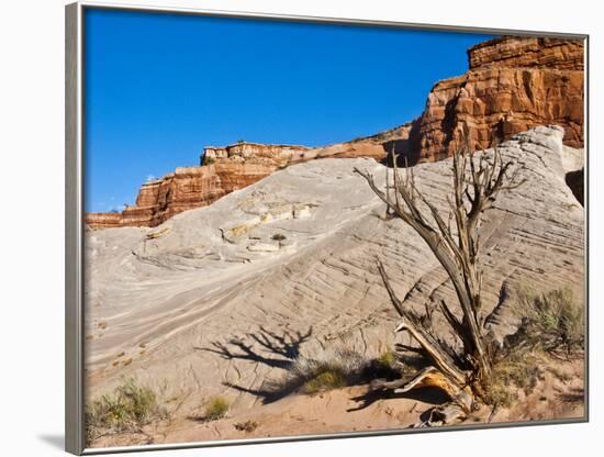 USA, Arizona, Big Water, Vermillion Cliffs Wilderness, Whitehouse Trailhead-Bernard Friel-Framed Photographic Print