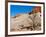 USA, Arizona, Big Water, Vermillion Cliffs Wilderness, Whitehouse Trailhead-Bernard Friel-Framed Photographic Print