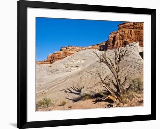 USA, Arizona, Big Water, Vermillion Cliffs Wilderness, Whitehouse Trailhead-Bernard Friel-Framed Photographic Print