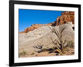 USA, Arizona, Big Water, Vermillion Cliffs Wilderness, Whitehouse Trailhead-Bernard Friel-Framed Photographic Print