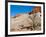 USA, Arizona, Big Water, Vermillion Cliffs Wilderness, Whitehouse Trailhead-Bernard Friel-Framed Photographic Print