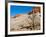 USA, Arizona, Big Water, Vermillion Cliffs Wilderness, Whitehouse Trailhead-Bernard Friel-Framed Photographic Print