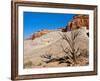 USA, Arizona, Big Water, Vermillion Cliffs Wilderness, Whitehouse Trailhead-Bernard Friel-Framed Photographic Print
