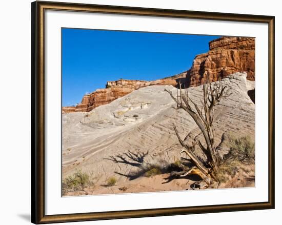 USA, Arizona, Big Water, Vermillion Cliffs Wilderness, Whitehouse Trailhead-Bernard Friel-Framed Photographic Print