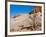 USA, Arizona, Big Water, Vermillion Cliffs Wilderness, Whitehouse Trailhead-Bernard Friel-Framed Photographic Print