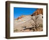 USA, Arizona, Big Water, Vermillion Cliffs Wilderness, Whitehouse Trailhead-Bernard Friel-Framed Photographic Print