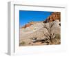 USA, Arizona, Big Water, Vermillion Cliffs Wilderness, Whitehouse Trailhead-Bernard Friel-Framed Photographic Print