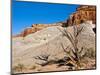 USA, Arizona, Big Water, Vermillion Cliffs Wilderness, Whitehouse Trailhead-Bernard Friel-Mounted Photographic Print