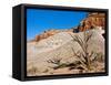 USA, Arizona, Big Water, Vermillion Cliffs Wilderness, Whitehouse Trailhead-Bernard Friel-Framed Stretched Canvas