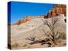 USA, Arizona, Big Water, Vermillion Cliffs Wilderness, Whitehouse Trailhead-Bernard Friel-Stretched Canvas